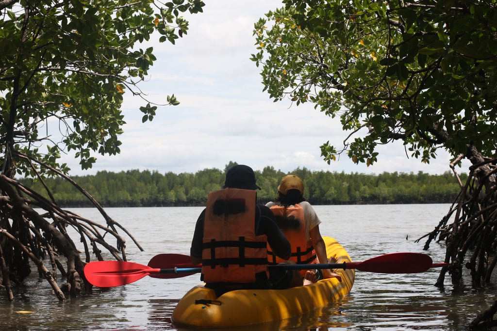 siamsmiletravel-Koh lanta yai mangrove and kayak
